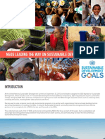 Ngos Leading The Way On Sustainable Development Goals