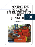 Manual BPM de Jengibre Diagramacion Definitiva 6 PDF