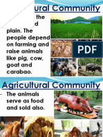 Agricultural Community