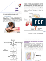 Insuficiencia Respiratoria