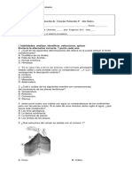 7° Prueba Dinamica de La Tierra