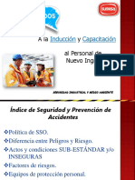 Induccion Seguridad Industrial 2019