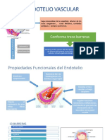 Endotelio Vascular y Quimioquinas