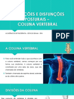 Alterações e Disfunções Posturais