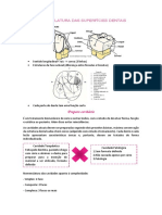 Nomenclatura Das Superfícies Dentais