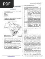 Industrialização Brasileira - Exercícios