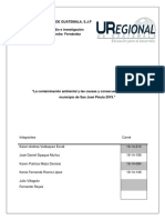 Contaminacion Ambiental SJP