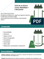 Ácidos Nucleicos 2018-II