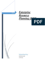 Enterprise Resource Planning