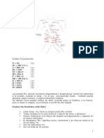 Meridianos Abdominales