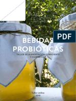 Libro de Recetas Bebidas Fermentadas