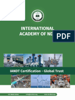 Iandt Brochure