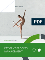 Payment Process Management: in Detail