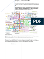 Rutas Metabólicas - Tipos y Principales Rutas - Lifeder