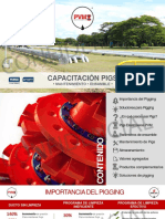 Capacitación Pigs - Elastómeros PVM (00000003) PDF