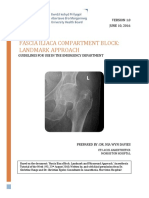 Fascia Iliaca Guideline