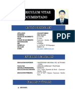 CV Curriculum Vitae Documentadoo 1 5