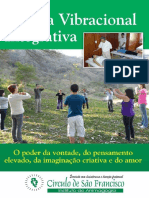 Terapia Vibracional Integrativa PDF