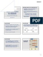 Aula 9 - Metabolismo Carboidratos UEPB PDF