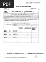 Prueba 1 Basico Organos de Los Sentidos