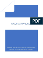 Toxoplasma Gondii.