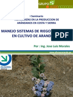 Seminario Arandanos