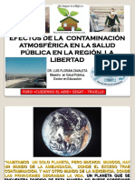 Efectos de La Contaminacion Del Aire en La