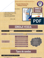 IBM - Tema 3 - Sondaje Vesical