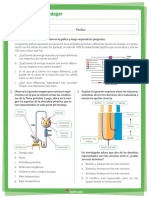 Origen de La Vida PDF