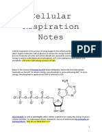 Cellular Respiration Notes