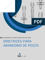 IBP CBP EP Caderno Boas Praticas Diretrizes Poço