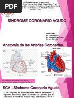 Primary:bluetooth/12.Sindrome Coronario Agudo