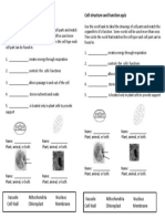 Cell Structure and Function Quiz Cell Structure and Function Quiz