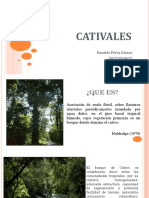 CATIVALES