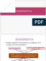 Bioenergética y Oxidaciones Biológicas