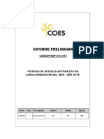 Informe Preliminar Del Estudio de RACG 2019