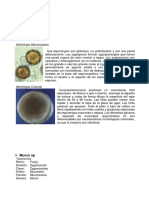 Atlas de Micologia