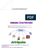 APUNTE - 1 - LOS - INVERTEBRADOS - PPT 2° Básico