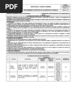 Reporte de Accidente de Trabajo PDF