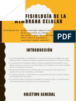 Histofisiología de La Membrana