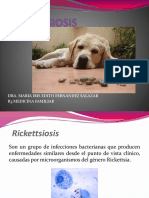 RICKETTSIOSIS