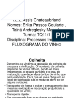 Fluxograma Do Vinho