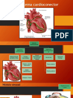 Sistema Cardioconector