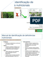 Ebook Sintomas de Deficiencia Basico 1