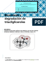 Biosíntesis y Degradación de Triacilgliceroles 2018