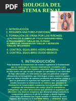 Sistema Renal