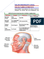 Esqueleto Axial - Miologia