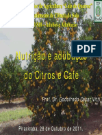 LSO-810 Nutricao e Adubacao Do Citros e Cafe