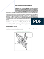 Aprovechamiento Sostenible de Orquidea Phragmipedium Besseae