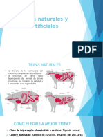 Tripas Naturales y Artificiales